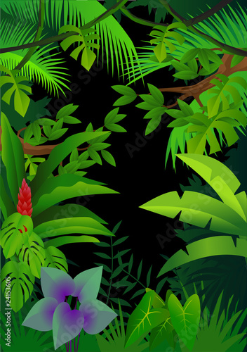 Forest