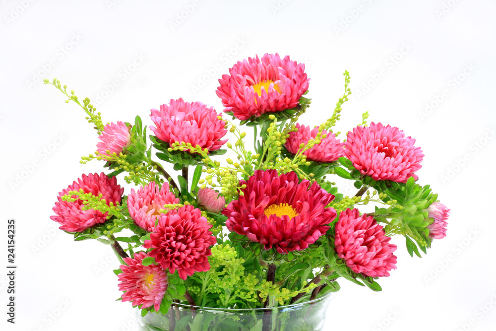 Fototapeta premium ezo aster