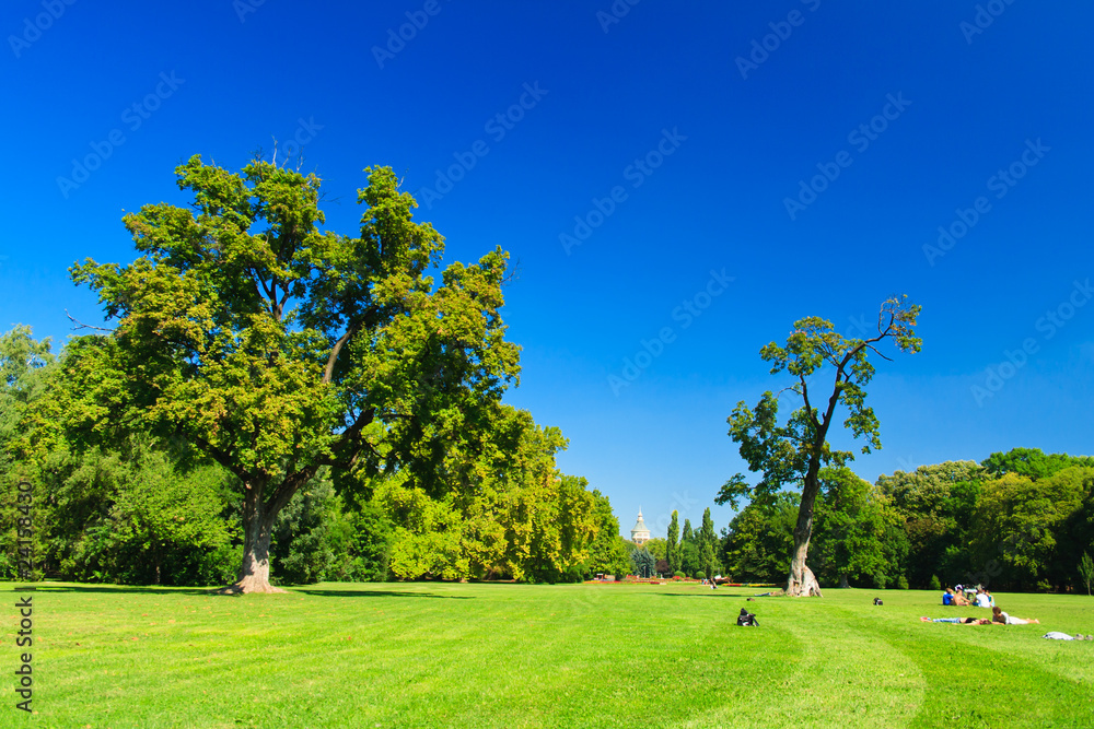 green park with blue sky