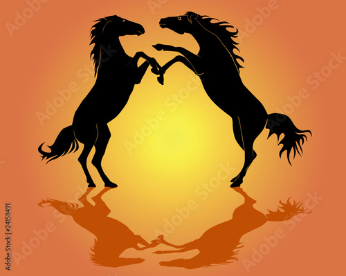 Black silhouettes of two horses