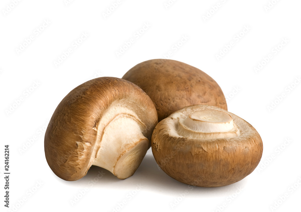 Champignons Champignon Pilze Champignons Champignon Pilze