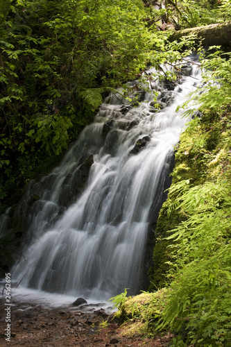 Ainsworth Hiking Trail in Oregon, USA.