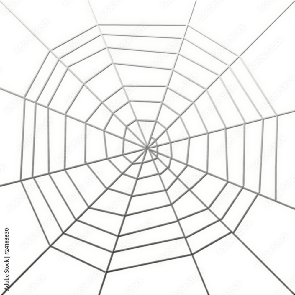 toile d'araignée, fond blanc