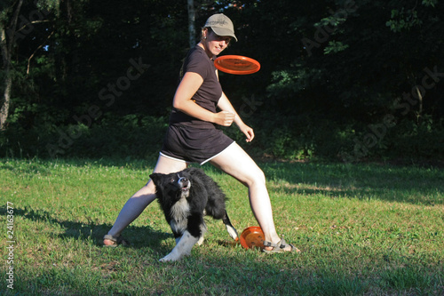 Funny catching Dog Frisbee photo