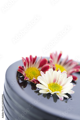 bowl of water and flowers-SPA concept