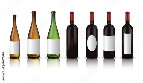 Wine bottles with shadow and reflection