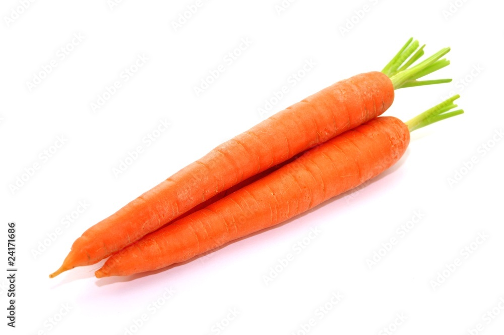 Ernte Ernte