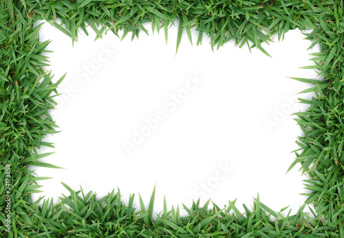 green grass frame