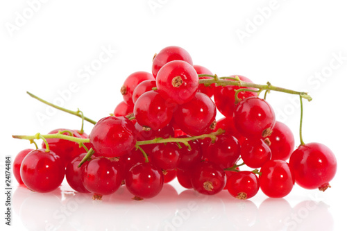 red currants berries