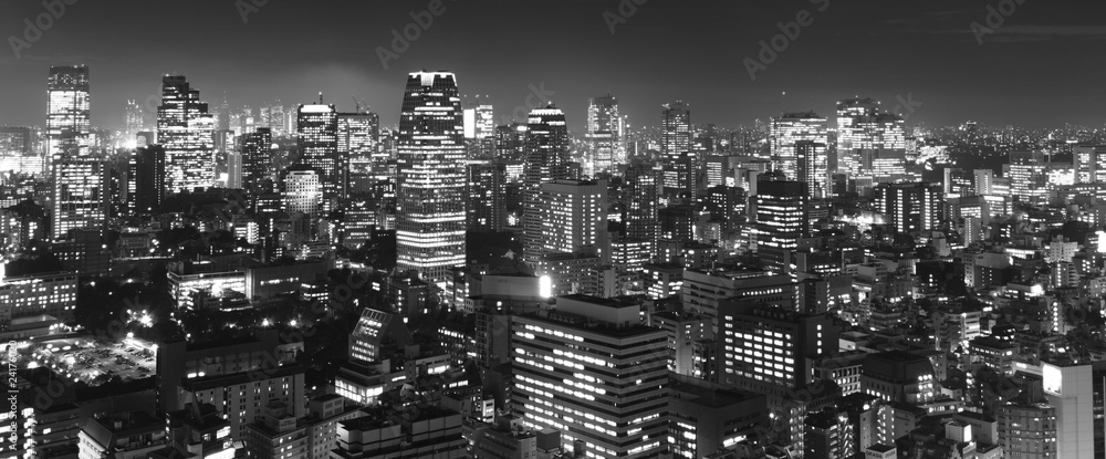 Naklejka premium Tokio w nocy panorama, b & w
