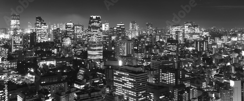Tokyo at night panorama, b&w