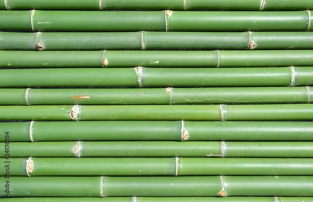 bamboo background bamboo background