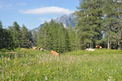 Parque Nacional de Triglav, Eslovenia