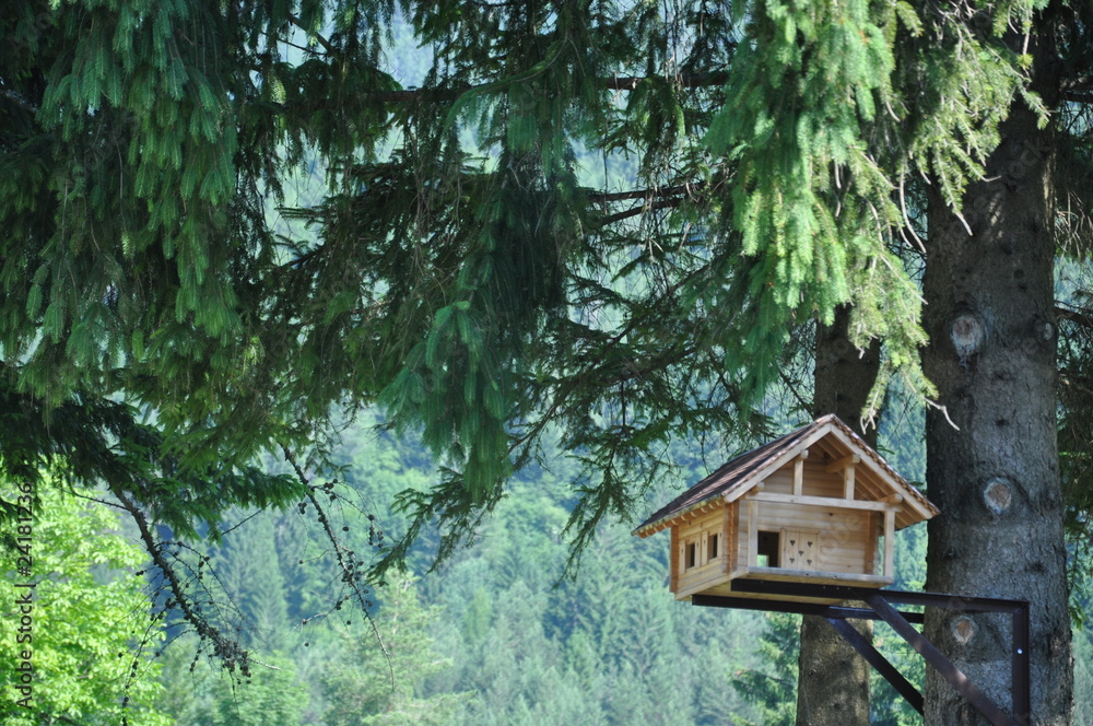 Casa de pájaros en el Parque Nacional de Triglav en Eslovenia. Casa de pájaros en el Parque Nacional de Triglav en Eslovenia.