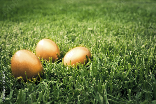Big golden eggs on the grass to represent wealth and luck