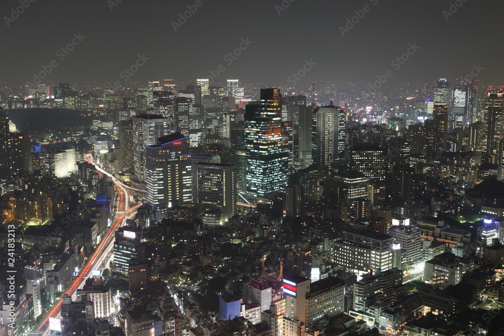 Tokyo at night panorama with illuminated skyscrapers
