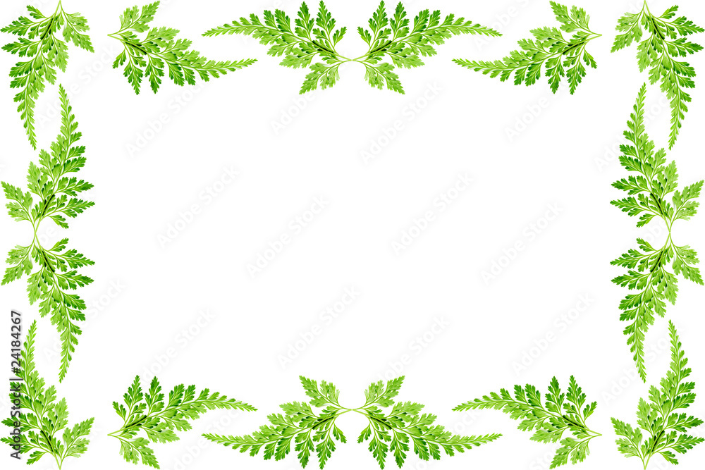 Naklejka premium シダのフレーム