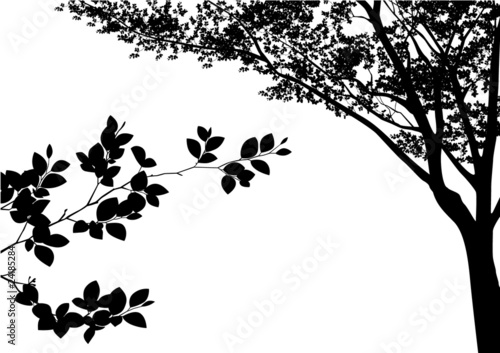 木のシルエット
