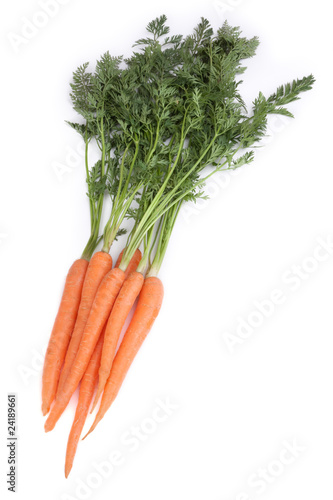 Karotten vor weißen Hintergrund