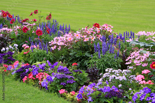 Flowerbed