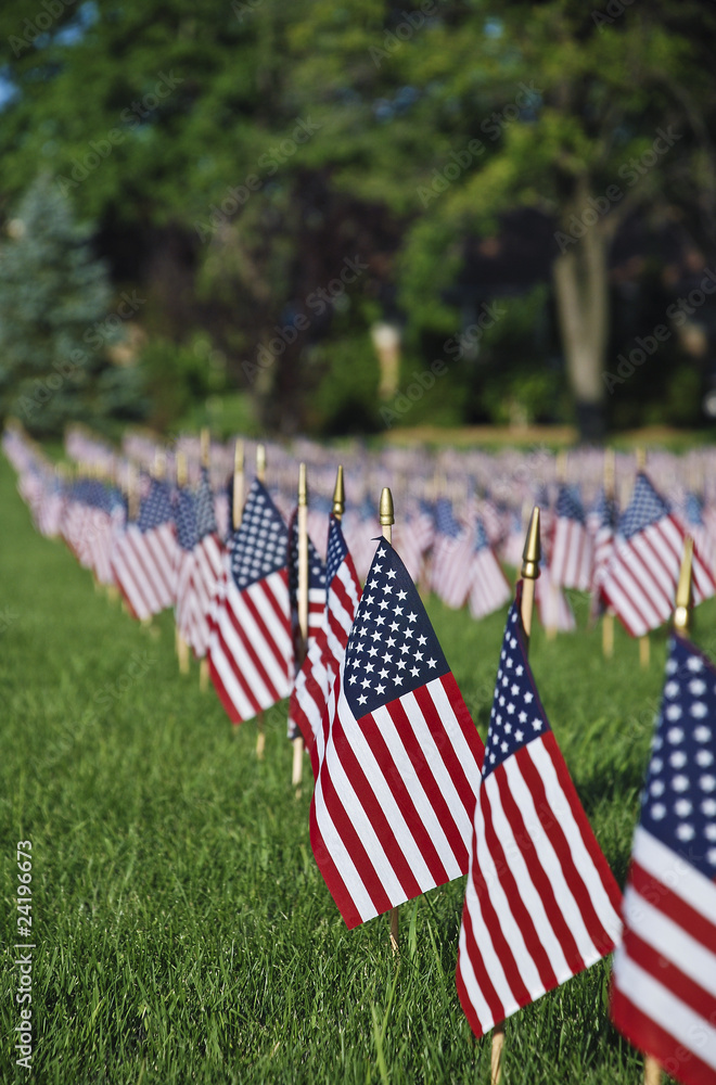 Naklejka premium United we stand.Hundreds of US flags