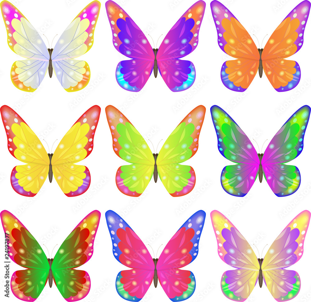 colour butterflies