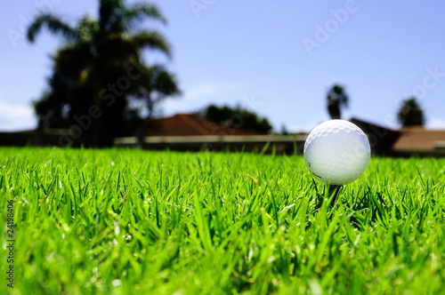 golf ball on the green grass
