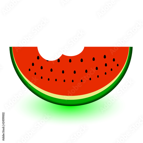 watermelon a bit vector illustration