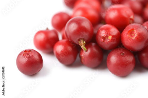 ripe cranberries isolated
