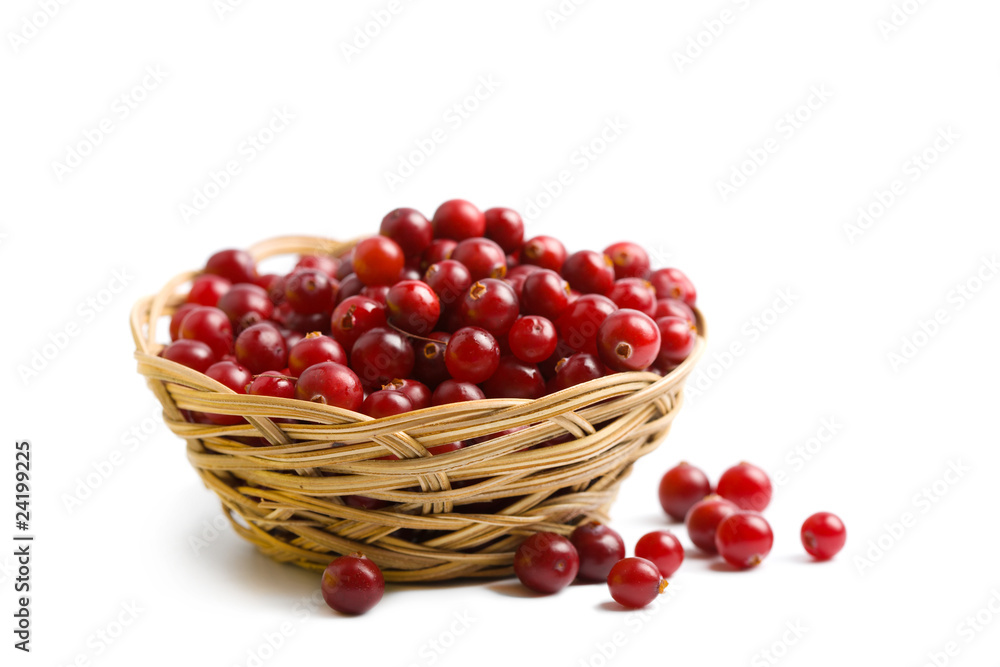 ripe cranberries isolated ripe cranberries isolated