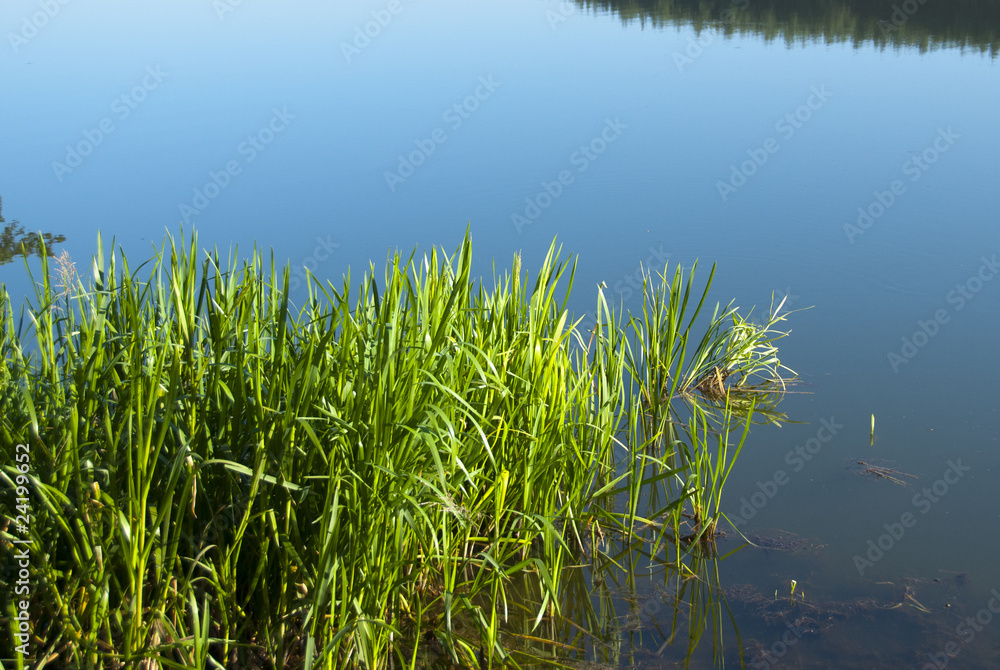 lake fishing lake fishing