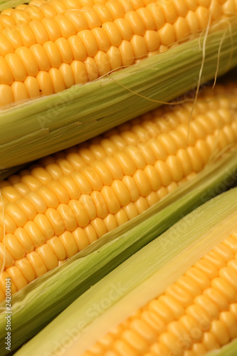 Corn