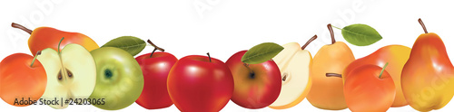 Fruit design border isolated on white. Vector.