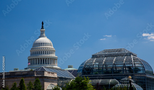 Capitol Building framed by Botanic Gardens photo