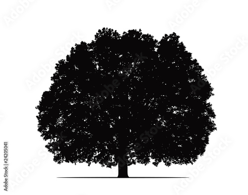 oak silhouette