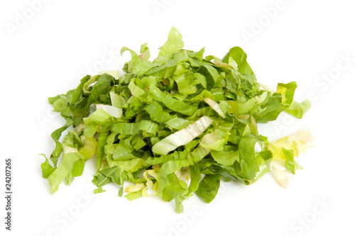Pile of fresh cut endive over white background