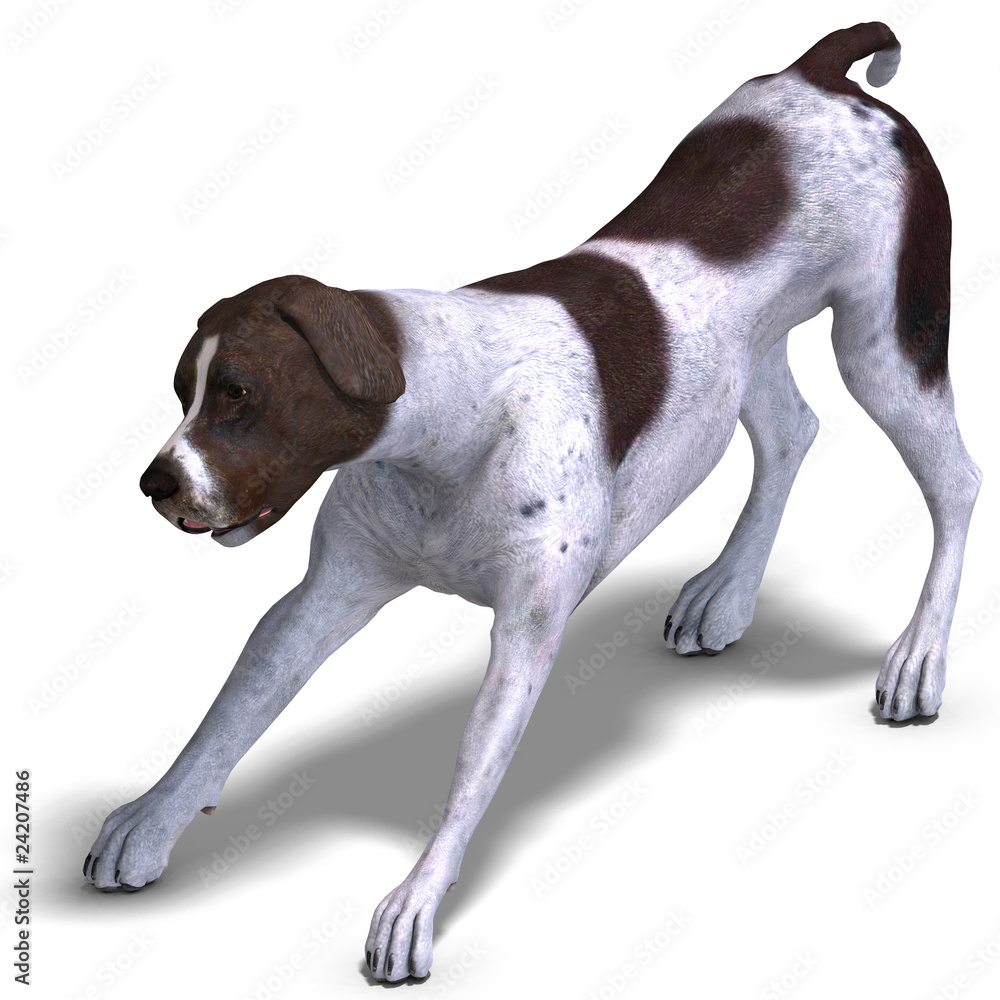 German Short Hair Dog. 3D rendering with clipping path and shado
