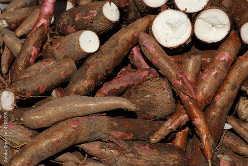 Racines de manioc