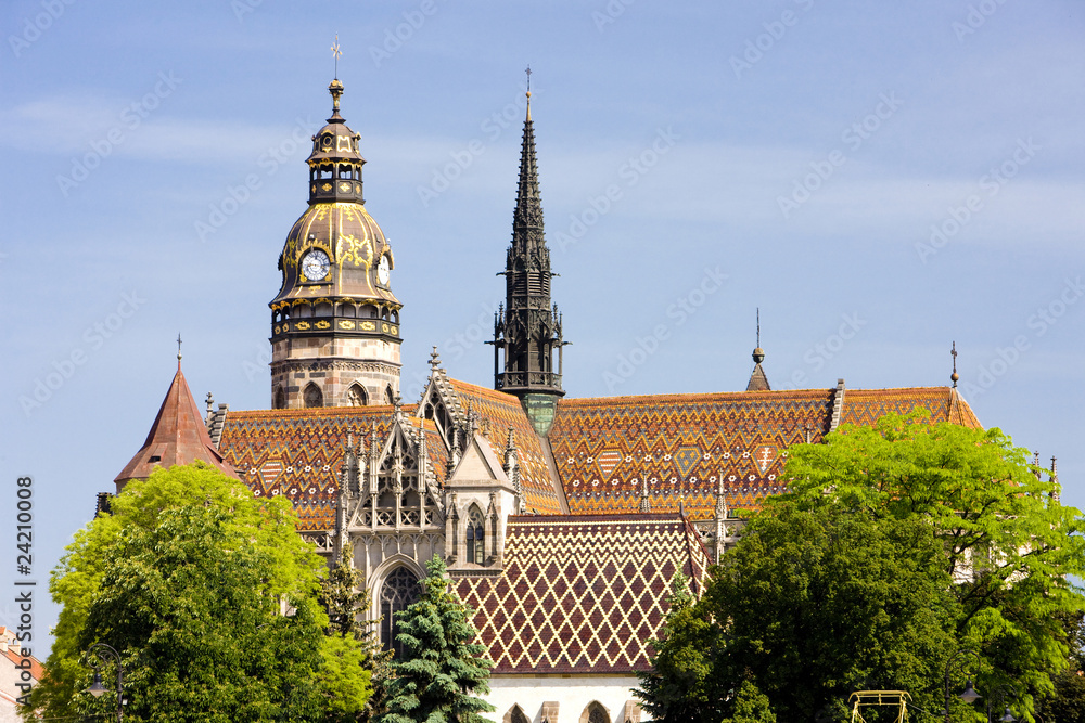 Φωτογραφία Cathedral of Saint Elizabeth, Kosice, Slovakia