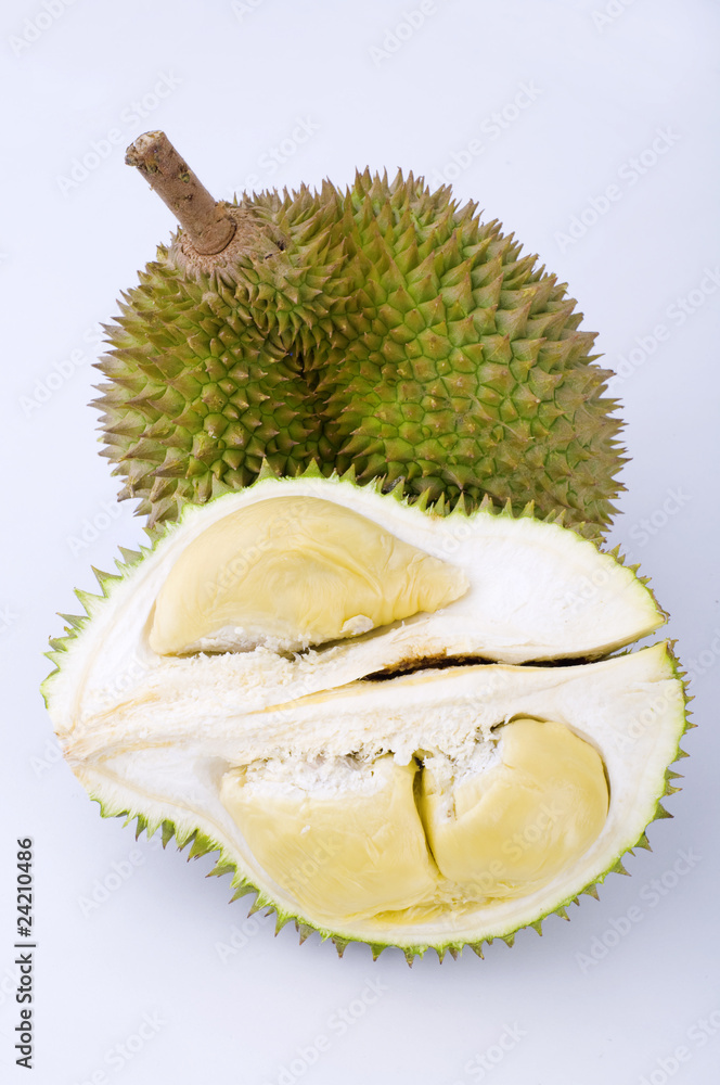 Naklejka premium durian