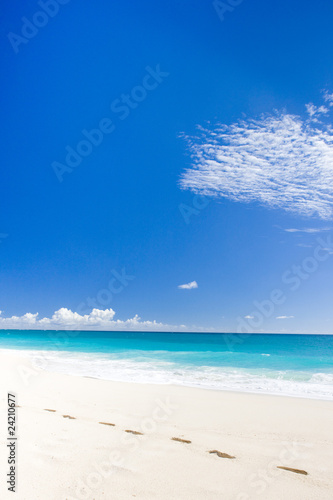 Foul Bay  Barbados  Caribbean