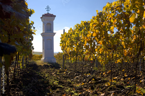 village chapel with wineyard near Perna, Czech Republic