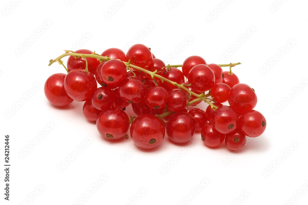 Johannisbeeren Johannisbeeren