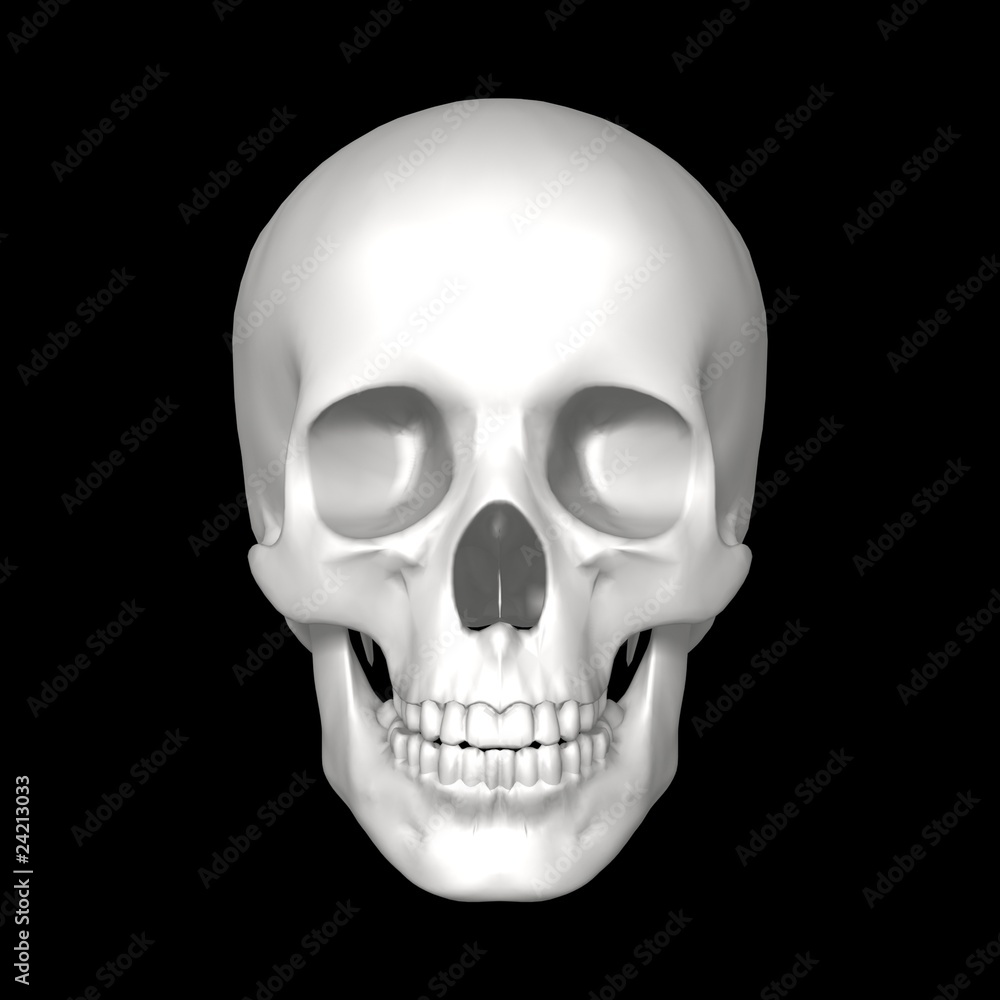Fototapeta premium czaszka
