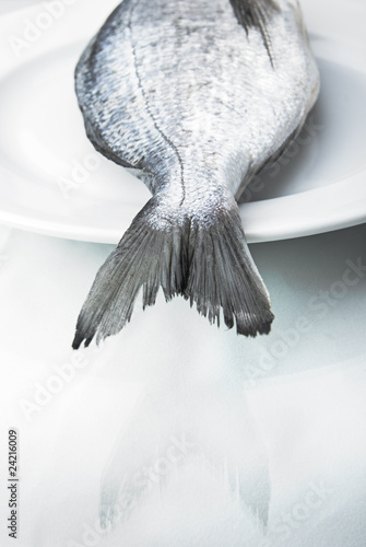 Fototapeta Naklejka Na Ścianę i Meble -  fresh dorado fish on plate