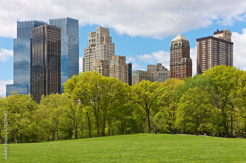 Fotografie, Obraz NYC, Central Park view