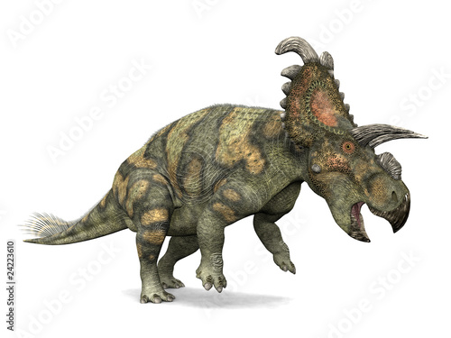 Albertaceratops © Michael Rosskothen