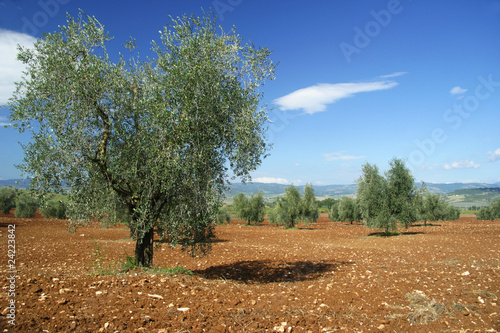 toscana