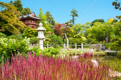 Photography Japanese Tea Garden