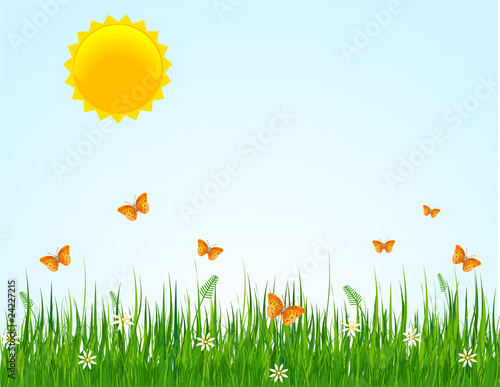 Summer